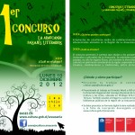 Lanzan concursos literarios en La Araucanía