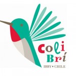 IBBY Chile y el Centro Lector de Lo Barnechea abren convocatoria para Medalla Colibrí 2013