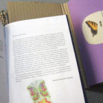 Biblioteca de Santiago presenta libro cartonero hecho por reos de la Expenitenciaría